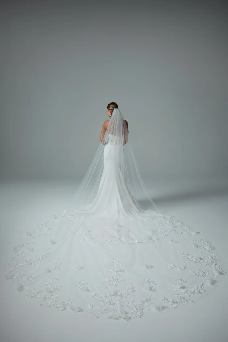 Veil Y3205