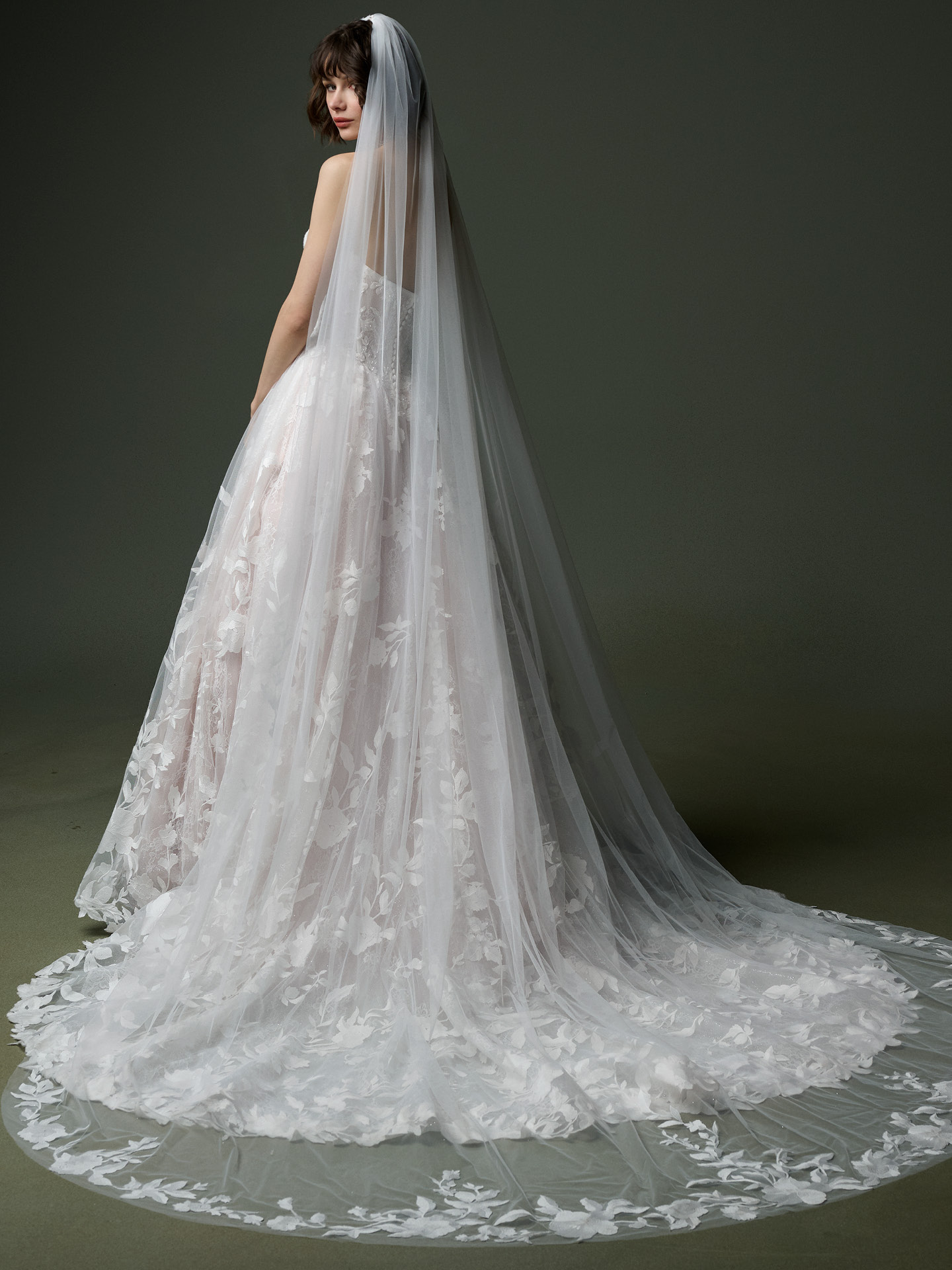 Aiden Veil
