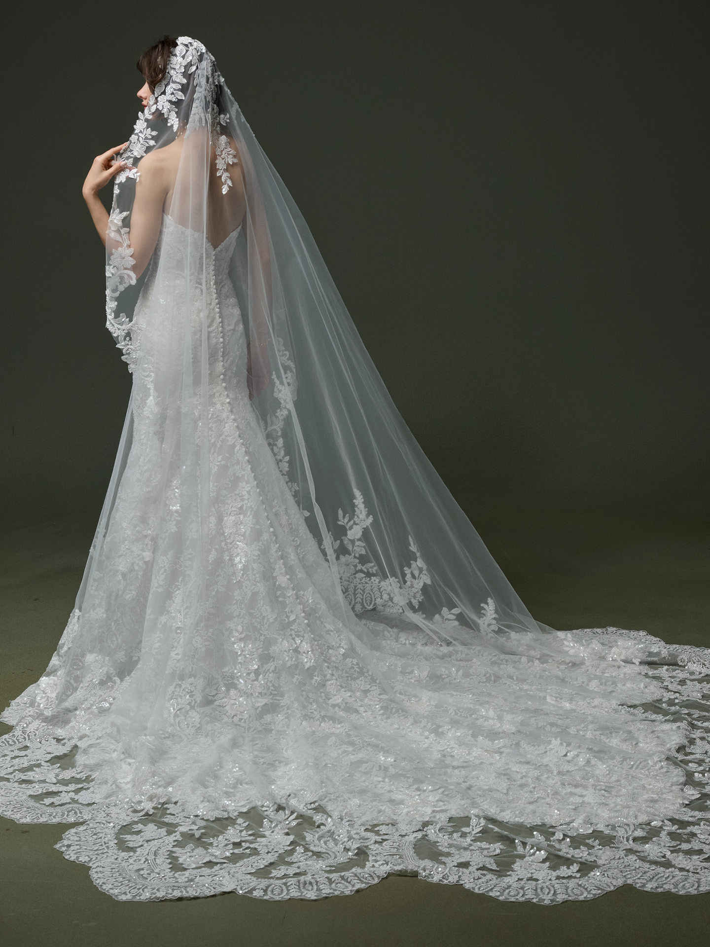 Courtland - Veil
